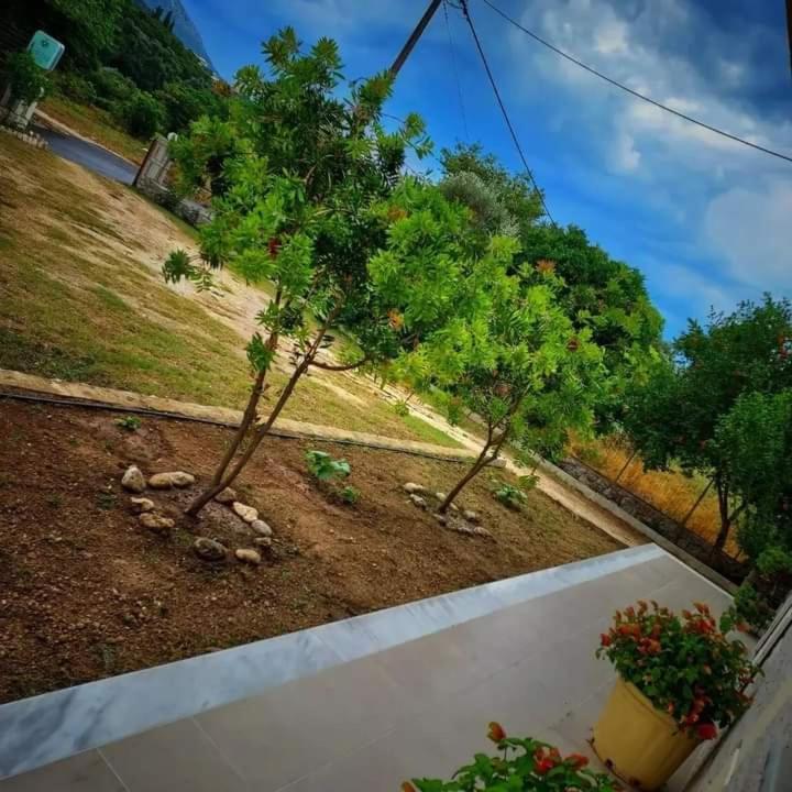 Calma Studios Parga Buitenkant foto